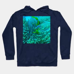 Clownfish and Sea Anemone Hoodie